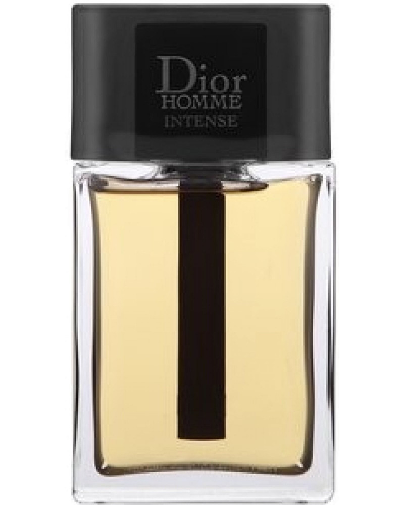 Christian Dior Dior Homme Intense 2020 parfémovaná voda pánská 100 ml tester